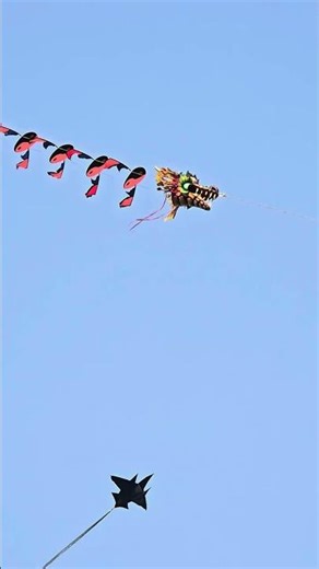 Dragon kite with python body