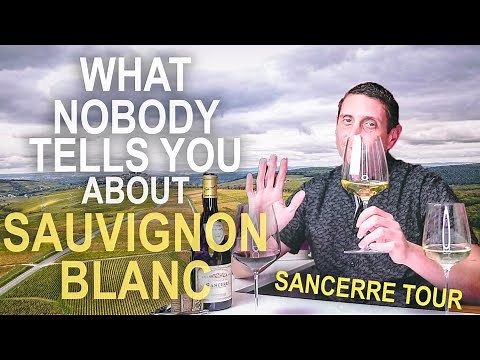 The Origins of Sauvignon Blanc – Inside Sancerre Wine & the Loire Valley of France