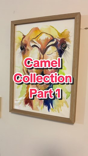 Camel Collection: Moving Into a New House Transition
