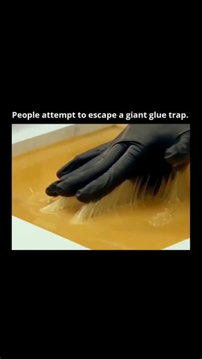 Remarkable Facts on Instagram: "Follow @remarkable.facts to get smarter every day. -------------- This intriguing experiment explores the biomechanics of human movement and the surprising difficulties encountered when interacting with materials exhibiting extreme adhesive properties. The core concept centers around quantifying the forces required to overcome interfacial adhesion – the resistance to separation between two surfaces in contact – scaled to a human subject. Researchers are essentiall