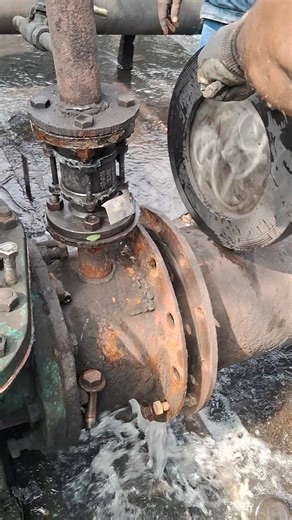 Pump Check Valve replacement