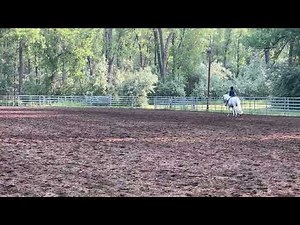 2025-07-12 BHC Hunter Hack - Lilly