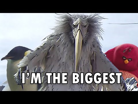 Opium Bird is the Biggest Bird / I'm da biggest bird meme | Meme from 2027 | Opium Bird