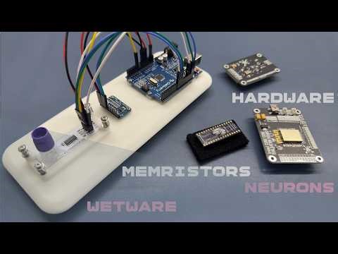 Towards a neuromorphic & wetware computer