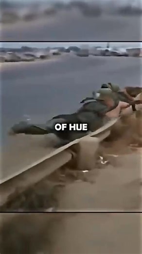 The Beehive Round Is Crazy | Wisemind