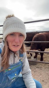 Christi Anne Gibson on Reels