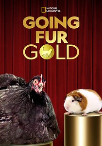 Going for Gold Season 1 - watch episodes streaming online