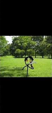 First time getting high