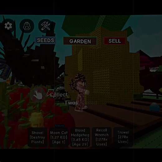 arkplaysss on TikTok