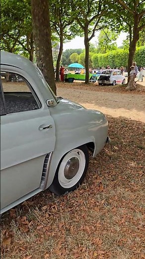 The Renault Dauphine, a true French icon.🇲🇫
