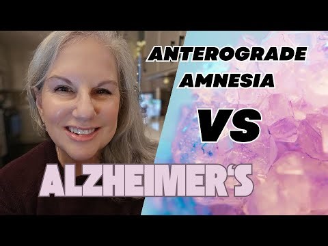The Hippocampus Mistake: Confusing Anterograde Amnesia With Alzheimer's ⚖️