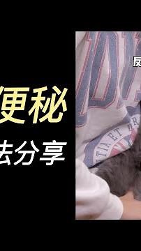 奶猫便秘别慌！五年养猫人实操经验分享