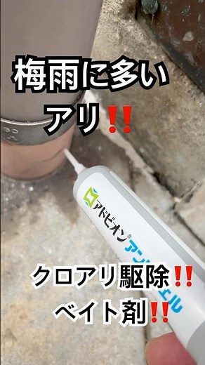 兵庫県神戸市垂水区でクロアリ駆除行ってきました‼️#クロアリハッシュクロアリ駆除#害虫駆除#害虫#梅雨#虫#アリの巣 #ベイト剤#神戸