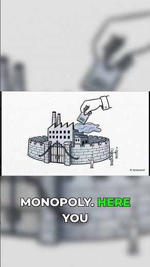 Perfect Competition vs Monopoly Explained Fast