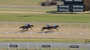 What a ride! 🙌 Oisin Murphy is champion jockey for a reason, giving Alignak a cracker to win at Newcastle... | At The Races