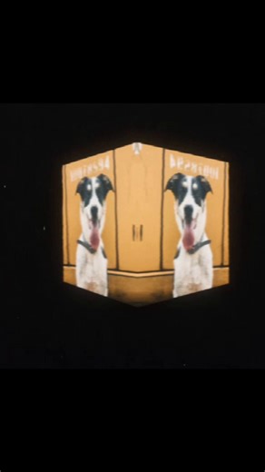 Engaging with the Dog Community: Tips and Tricks