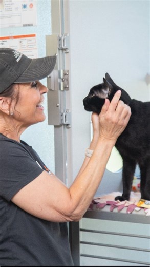 6K views · 374 reactions | No matter your “why”, we appreciate each and every volunteer at the Arizona Humane Society. Your kindness fuels our mission, and together, we create brighter futures for every pet. #VolunteerAppreciationWeek Interested in becoming a volunteer? View all opportunities at azhumane.org/volunteer. | Arizona Humane Society | Facebook