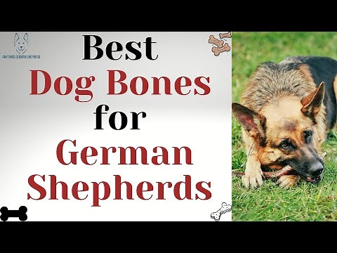 How To Choose The Best Dog Bones For German Shepherds