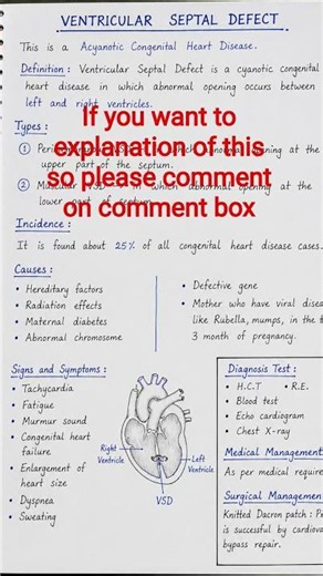 Ventricular Septal Defect (VSD) – definition,Causes, Symptoms & Treatment