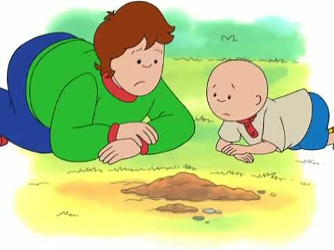 Caillou Caillou's Getting Older