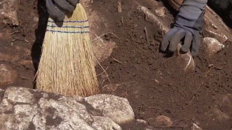 Shocking Beach Discoveries: 9 Creepiest and Strangest Things Washed Ashore