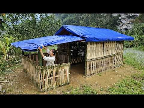 TIMELAPSE 360 Days to Build a Life from Scratch: Building a New Home in the Wilderness