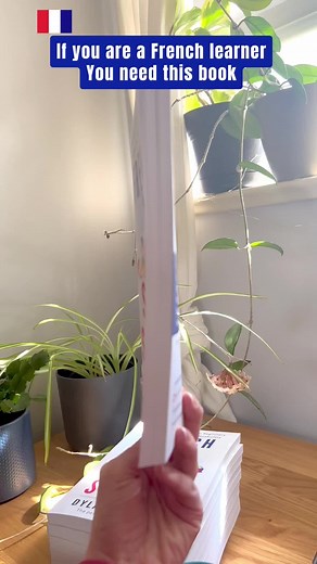 TheperfectFrenchwithDylane on TikTok
