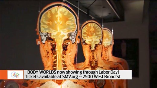 Body Worlds is a stunning exhibit which highlights anatomy and the human body, and it's now showing at the Science Museum of Virginia. Check out the recent Showcase Richmond segment to learn more! https://trib.al/eAZrpyX | ABC 8News - WRIC
