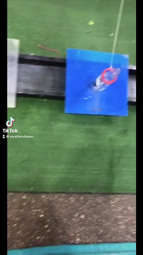 How many can you count?