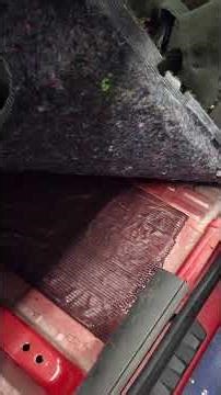 Chevy Equinox Mold Dissassembling Remediation Service