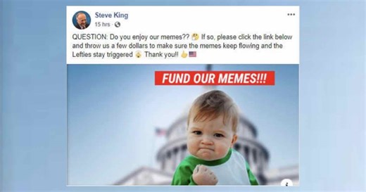 US Congressman Loses Copyright Lawsuit Over 'Success Kid' Meme Photo