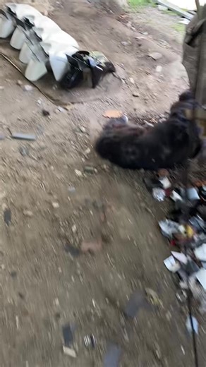 Funny Batman Yarn You Can't Miss!