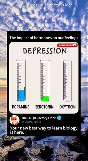 🧠 This is how hormones 🧪 influence our emotions ⚡| MDCT