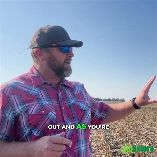 How Grid Sampling and Variable-Rate Lime Improve Yields and Save Input Costs Across Fields