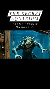 30K views · 221 reactions | Exotic Aquatic Humanoids #mermaid #mermaids #viral Disclaimer: This video is for entertainment purposes only. All characters and scenes are fictional. | Cryptid Universe | Facebook
