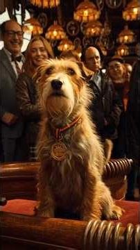 “Rip: The Homeless Dog Who Saved 100 People in the Blitz”