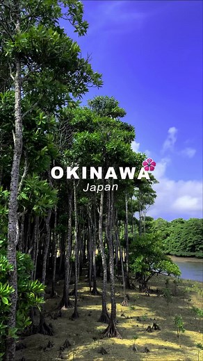 TikTokでEpic_Okinawaさんをチェック！