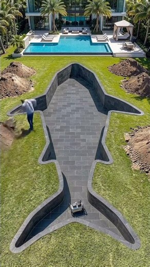 fish swimming pool#fact#shorts