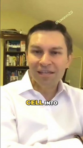 💊How NMN Mimics Exercise to Improve Blood Flow & Combat Aging | Dr. David Sinclair