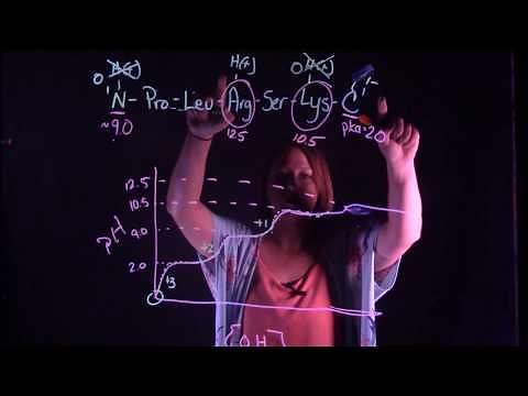 Determining the isoelectric point of a polypeptide