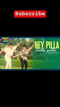 hey pilla hello pilla song lyrics👌 please watched👌👌