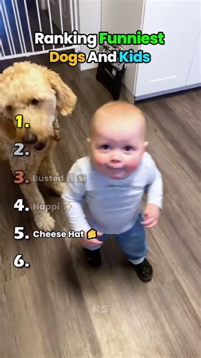 Ranking Dogs & Kids Moments #dog #kids #funny #cute #shorts