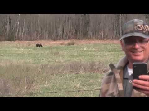 Is This A Sasquatch Caught On Video?