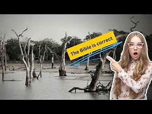 5 Scientific Proofs of the Genesis Flood