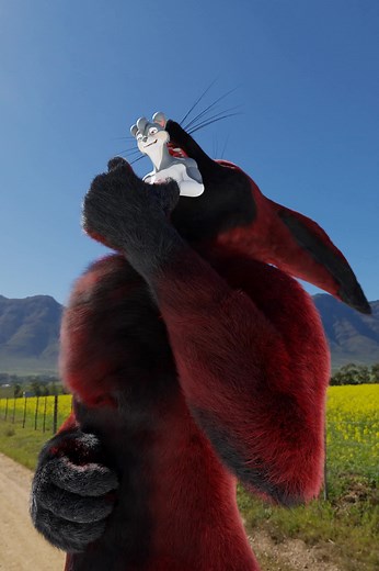 Danger N00dle on TikTok