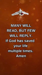 231K views · 10K reactions | #bibleverseoftheday #dailyscripture...