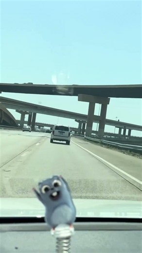 Massive Dallas Texas Highway Flyover Bridge! 🛣️ POV Drive #Shorts