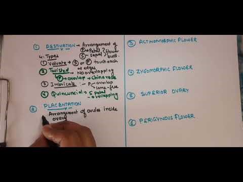 Class 11, Aestivation to Superior Ovary 🌸 | Biology | Key Floral Terms Explained