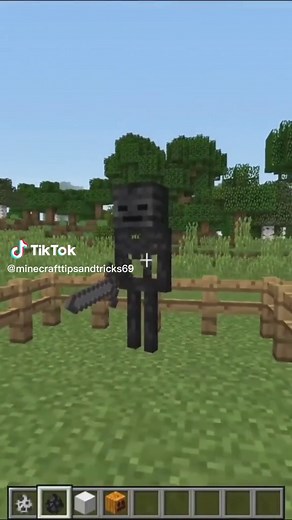 Ultimate Minecraft Tutorial: How to Spawn the Wither Skeleton