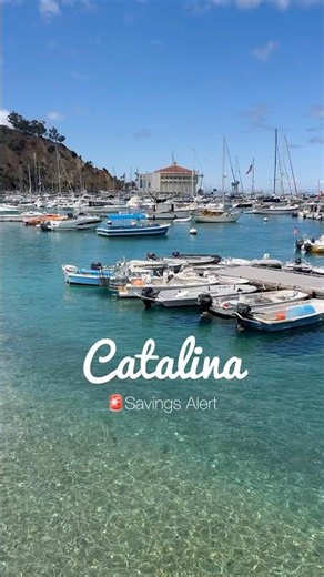 Have you visited Catalina Island? Here’s our guide for this SoCal destination #catalina